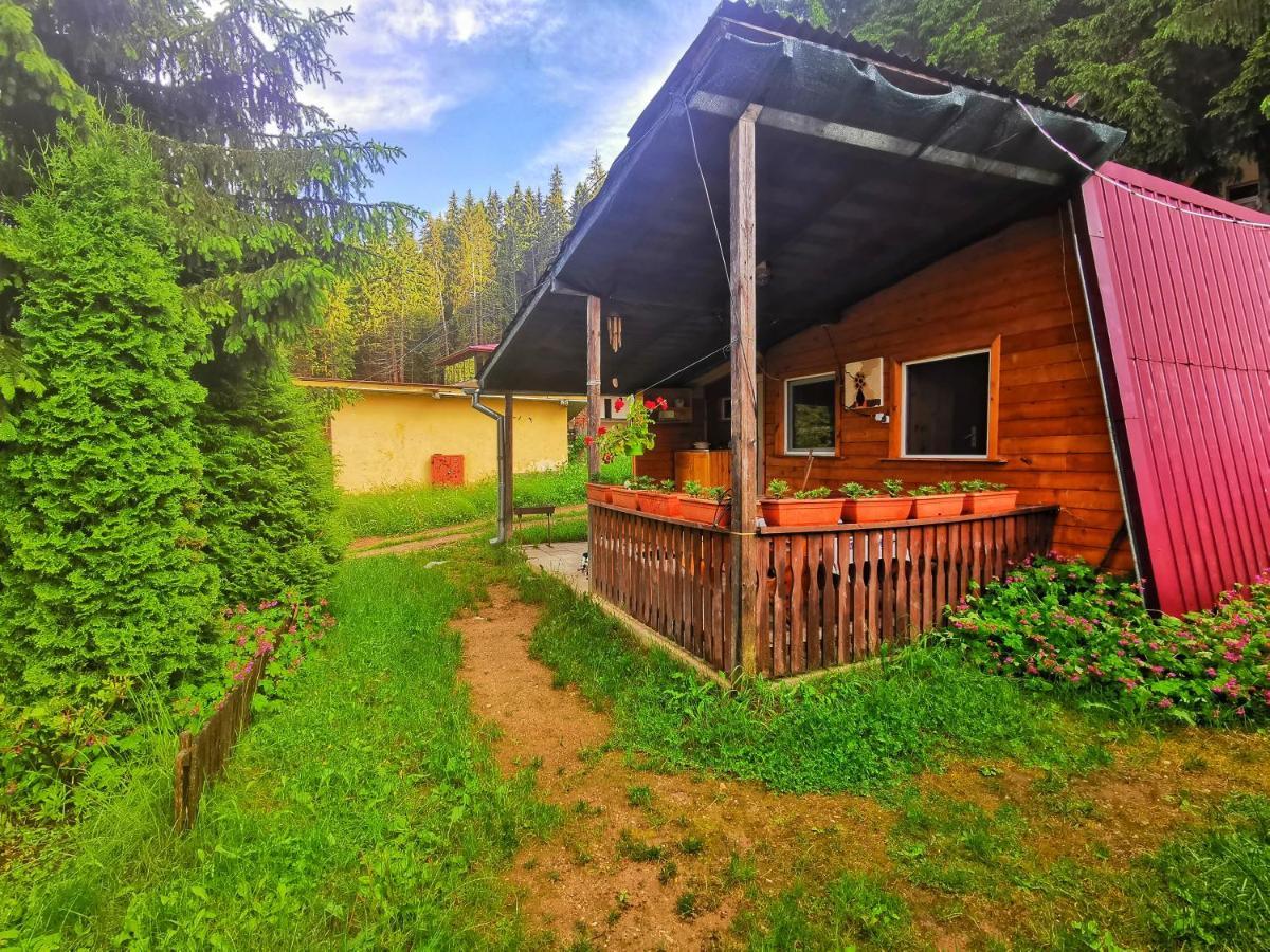 Orlino Holiday Park Sarnitsa Bagian luar foto