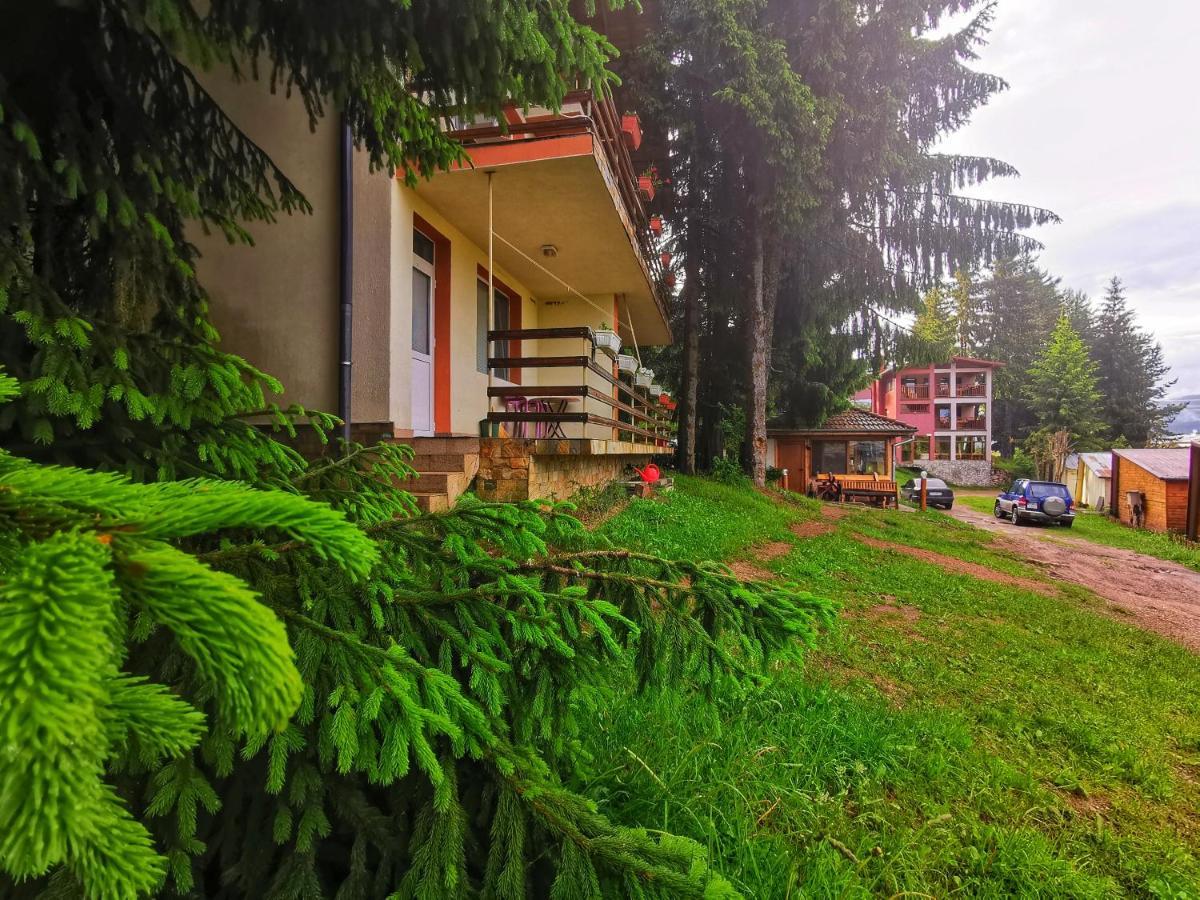 Orlino Holiday Park Sarnitsa Bagian luar foto