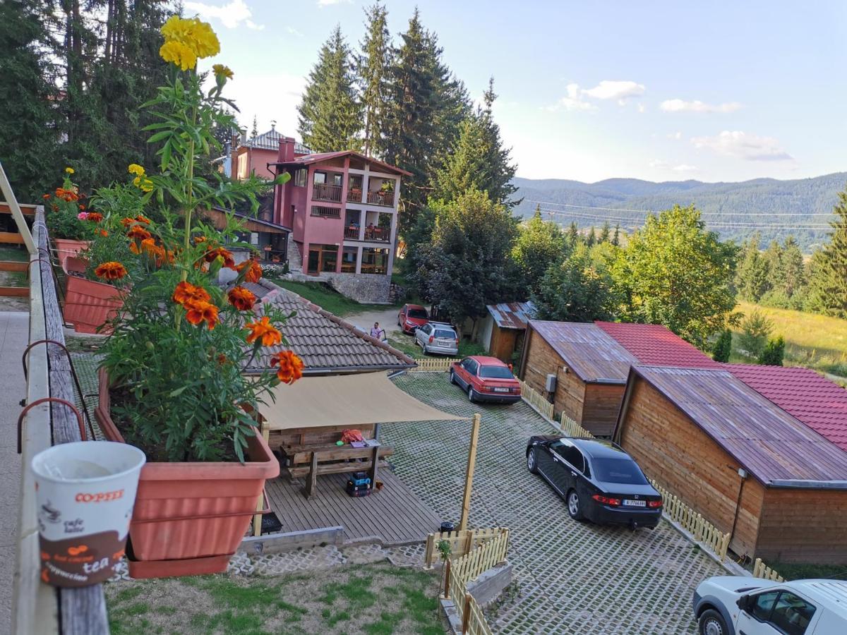 Orlino Holiday Park Sarnitsa Bagian luar foto